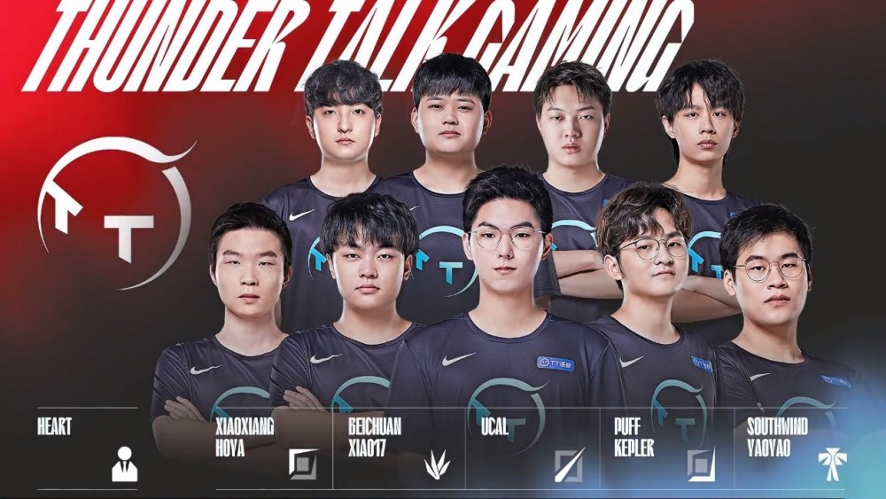 仅是数据的 仅是数据的