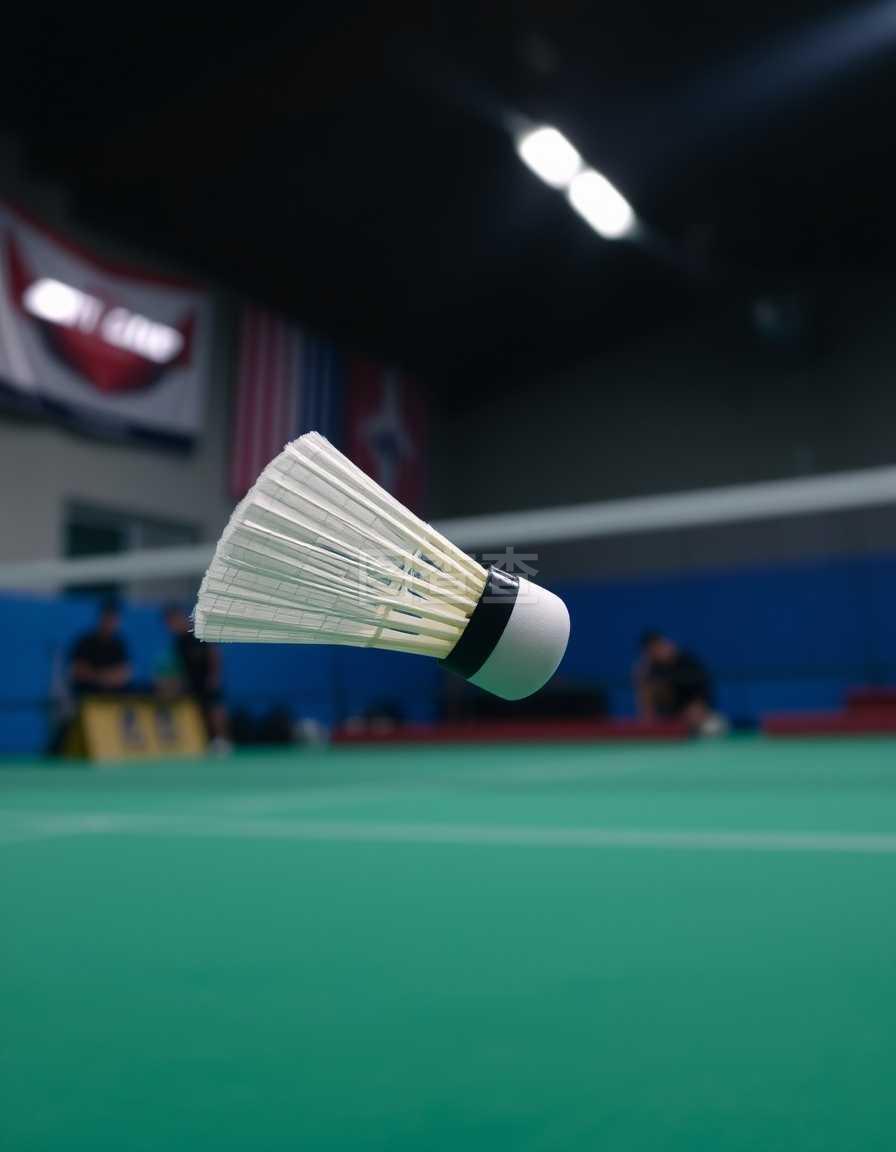 严格训练的 严格训练的